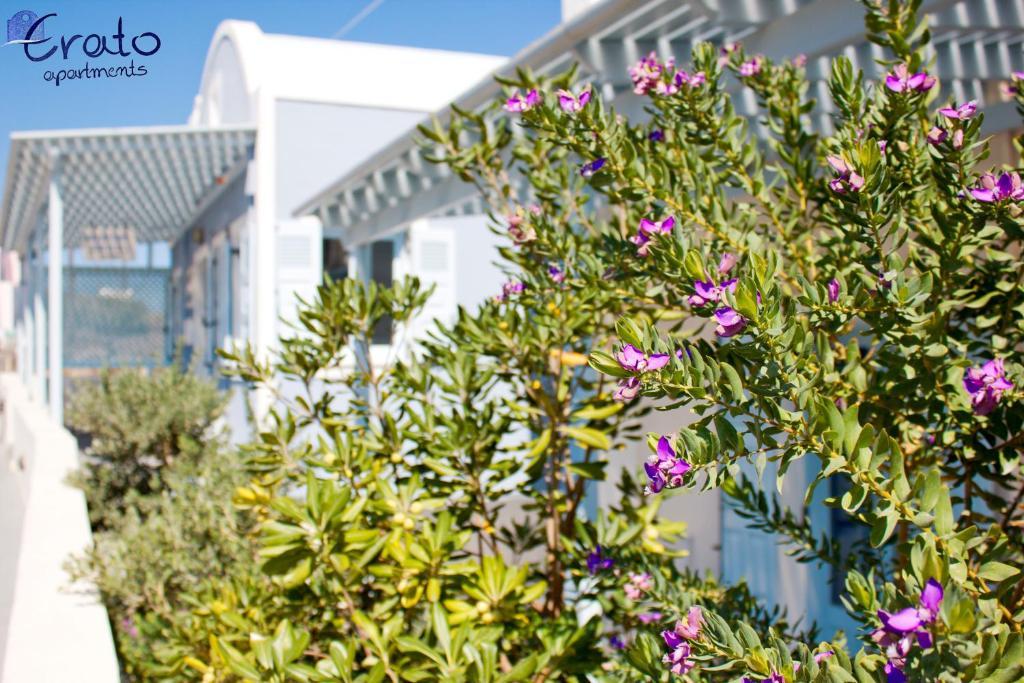 Erato Apartments Fira  Bagian luar foto